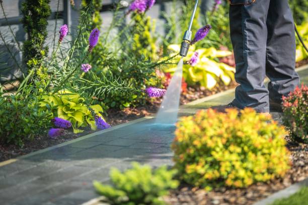 Best Deck and Patio Pressure Washing in Thiensville, WI